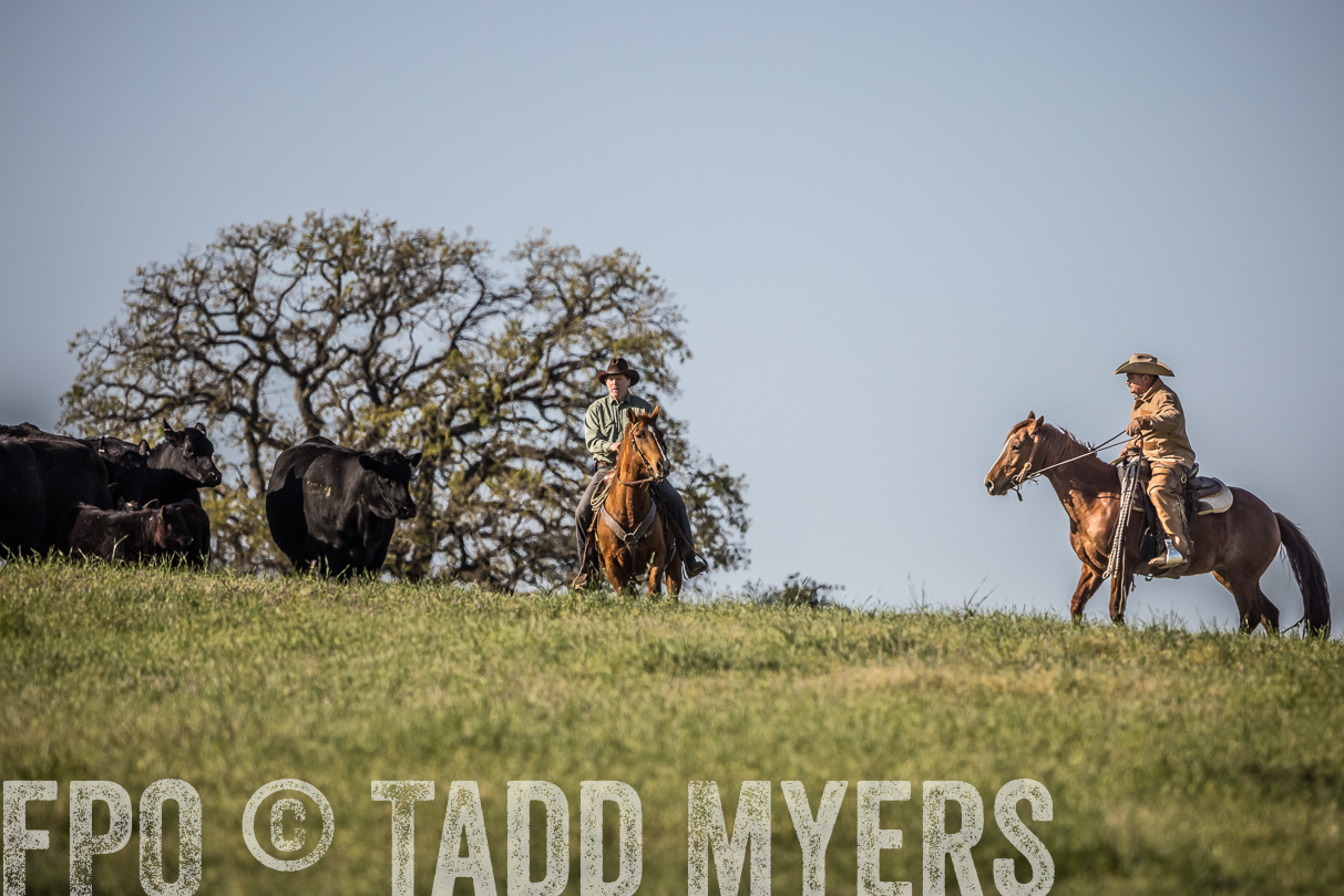 TMyers_44Farms_Cameron_March2021-5881