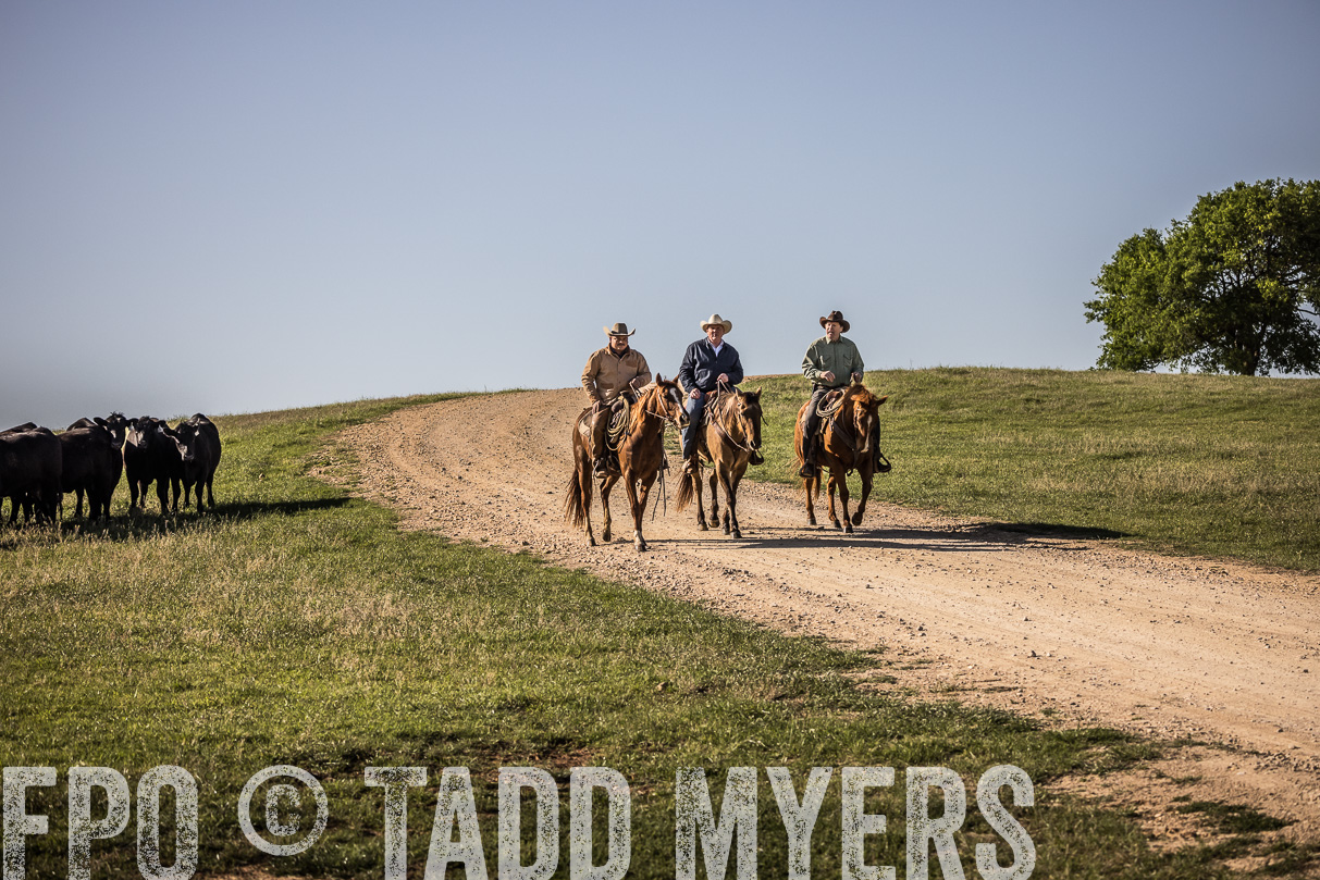TMyers_44Farms_Cameron_March2021-5892