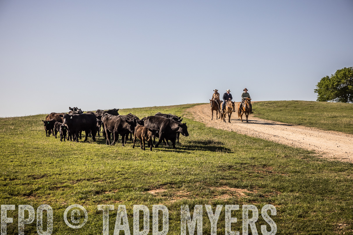TMyers_44Farms_Cameron_March2021-5936
