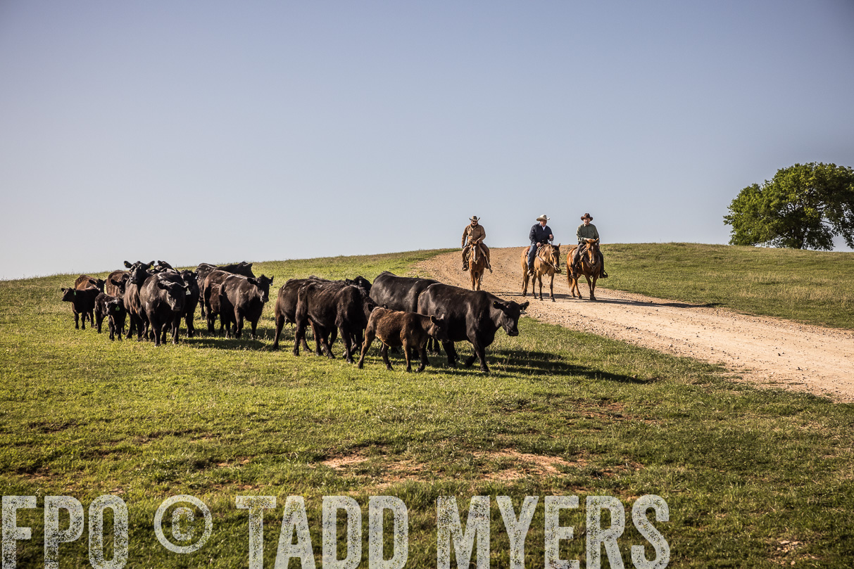 TMyers_44Farms_Cameron_March2021-5938
