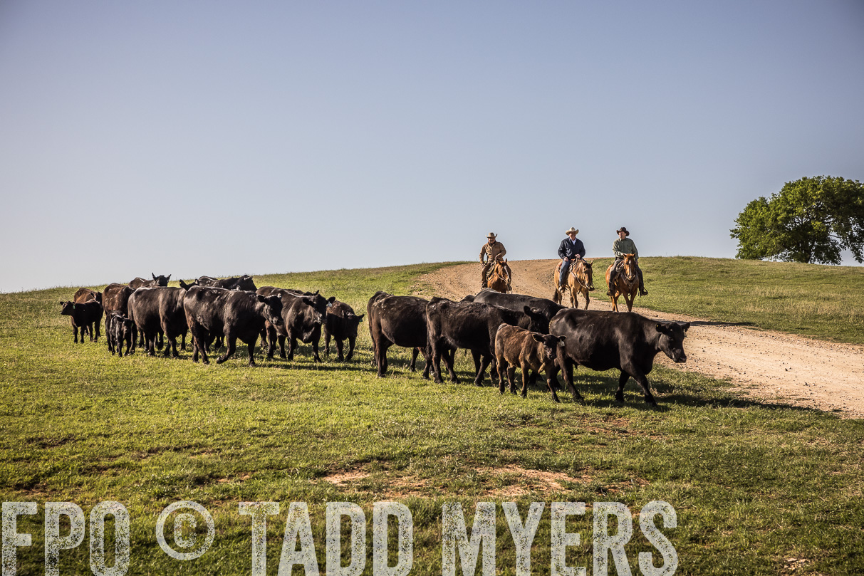 TMyers_44Farms_Cameron_March2021-5942