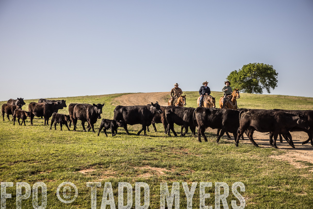 TMyers_44Farms_Cameron_March2021-5954