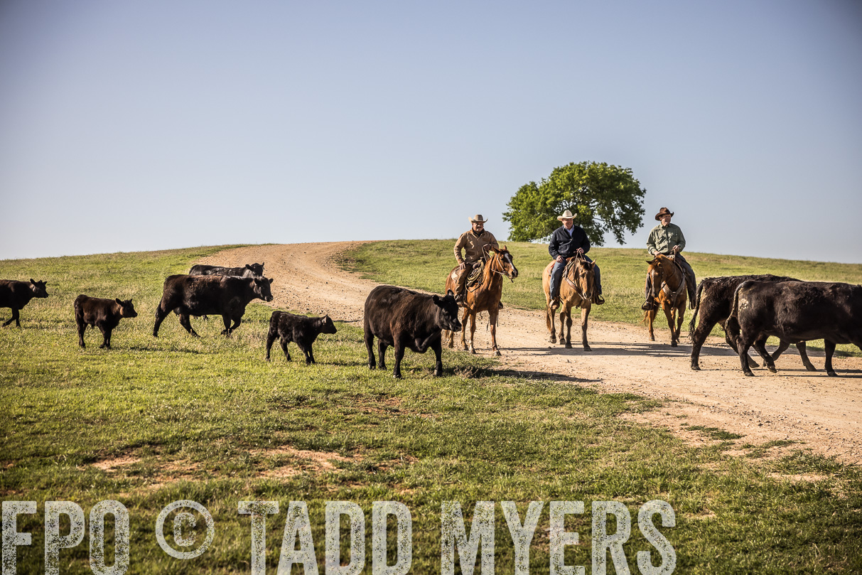 TMyers_44Farms_Cameron_March2021-5957