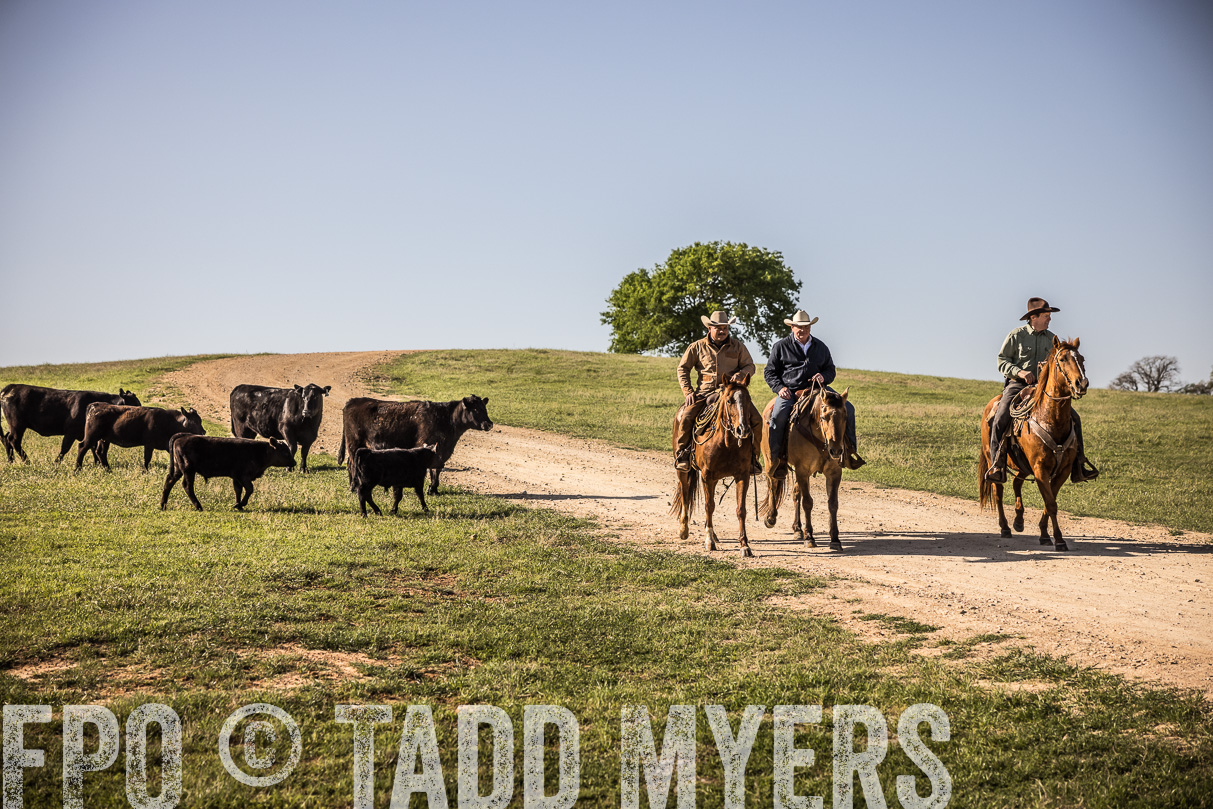 TMyers_44Farms_Cameron_March2021-5964
