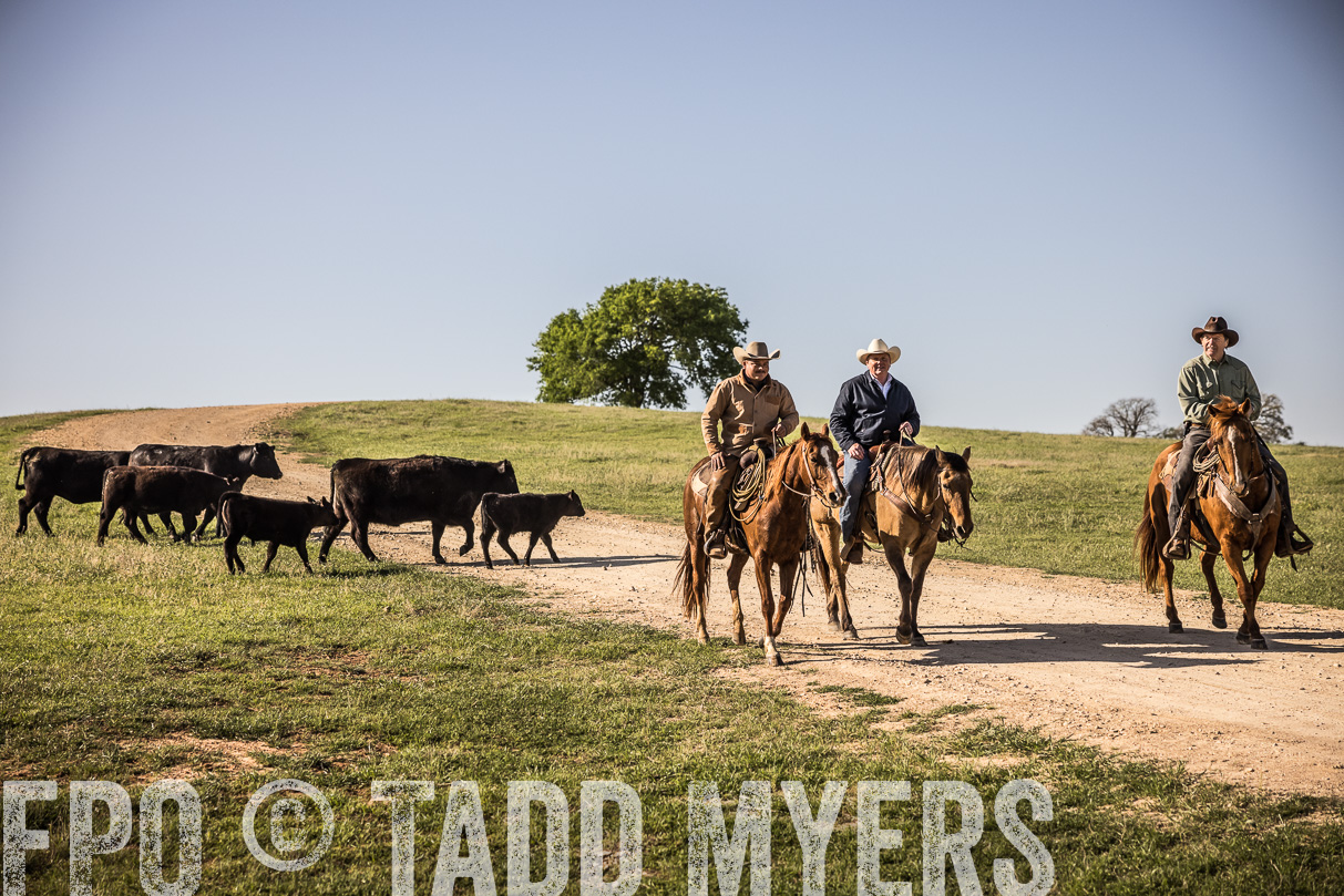 TMyers_44Farms_Cameron_March2021-5969