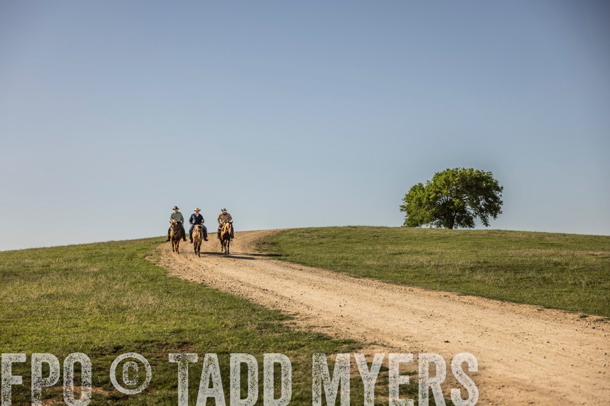 TMyers_44Farms_Cameron_March2021-6017-1