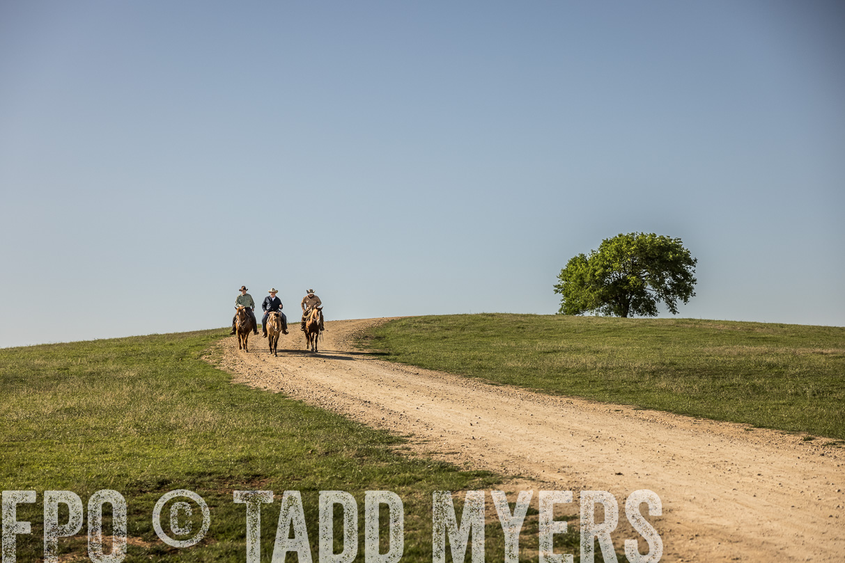 TMyers_44Farms_Cameron_March2021-6017