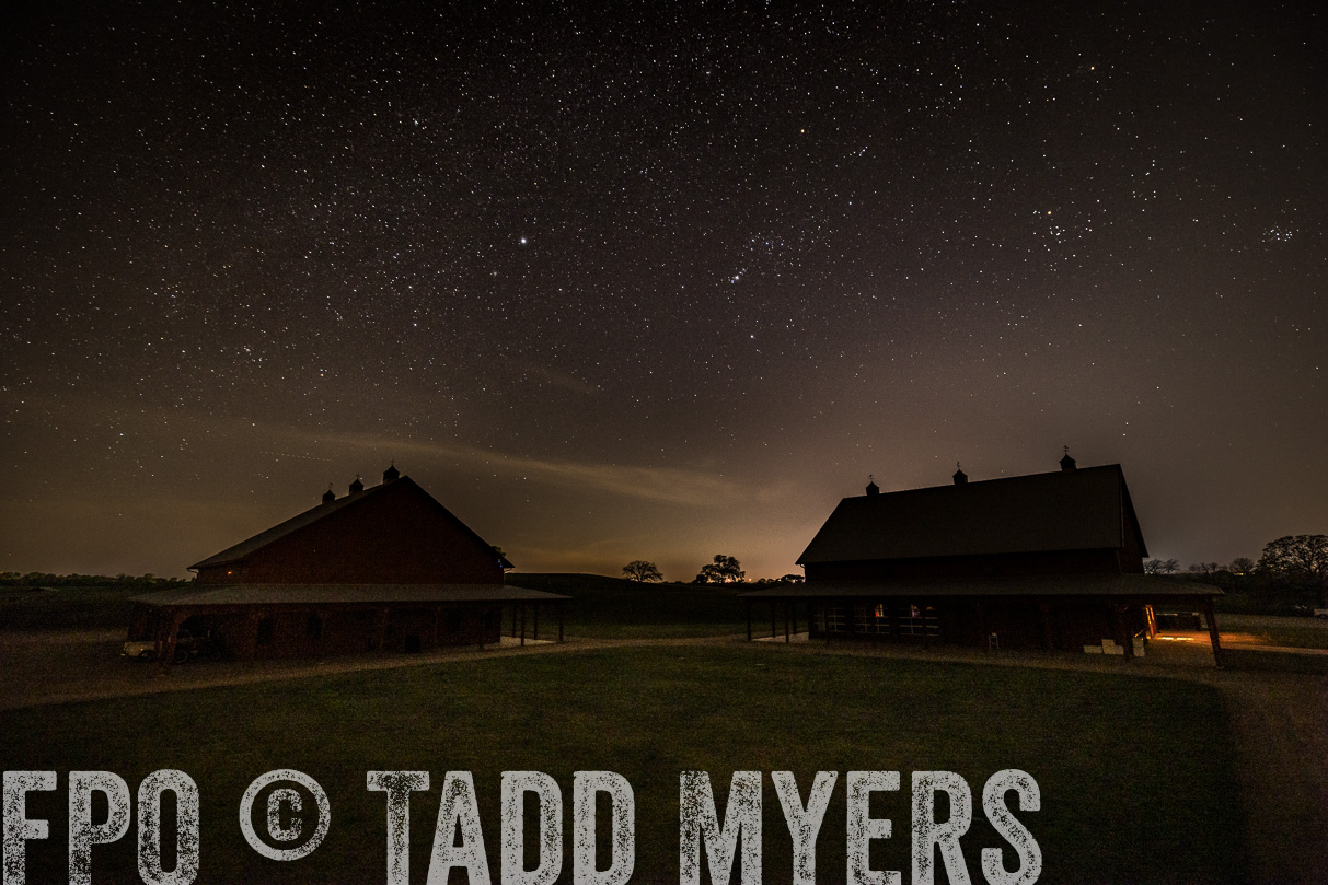 TMyers_44Farms_Cameron_March2021-7726