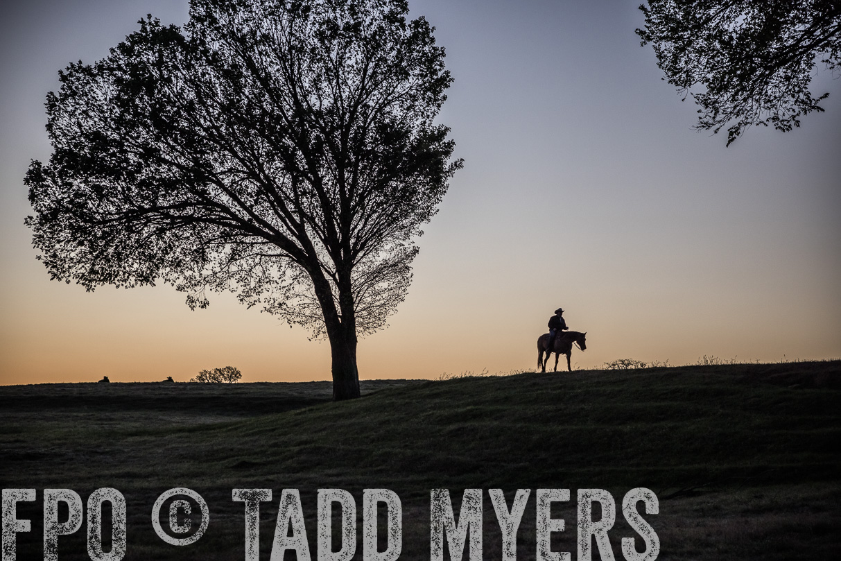 TMyers_44Farms_Cameron_March2021-4481