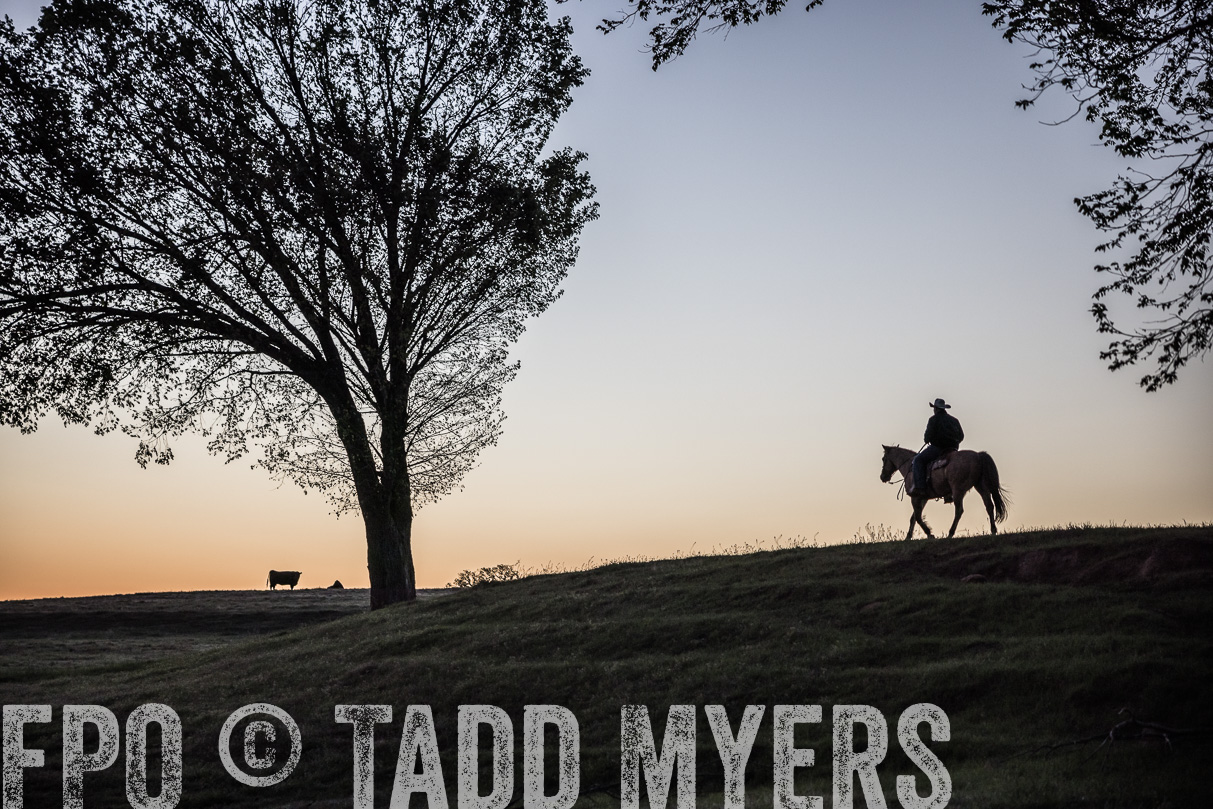 TMyers_44Farms_Cameron_March2021-4488