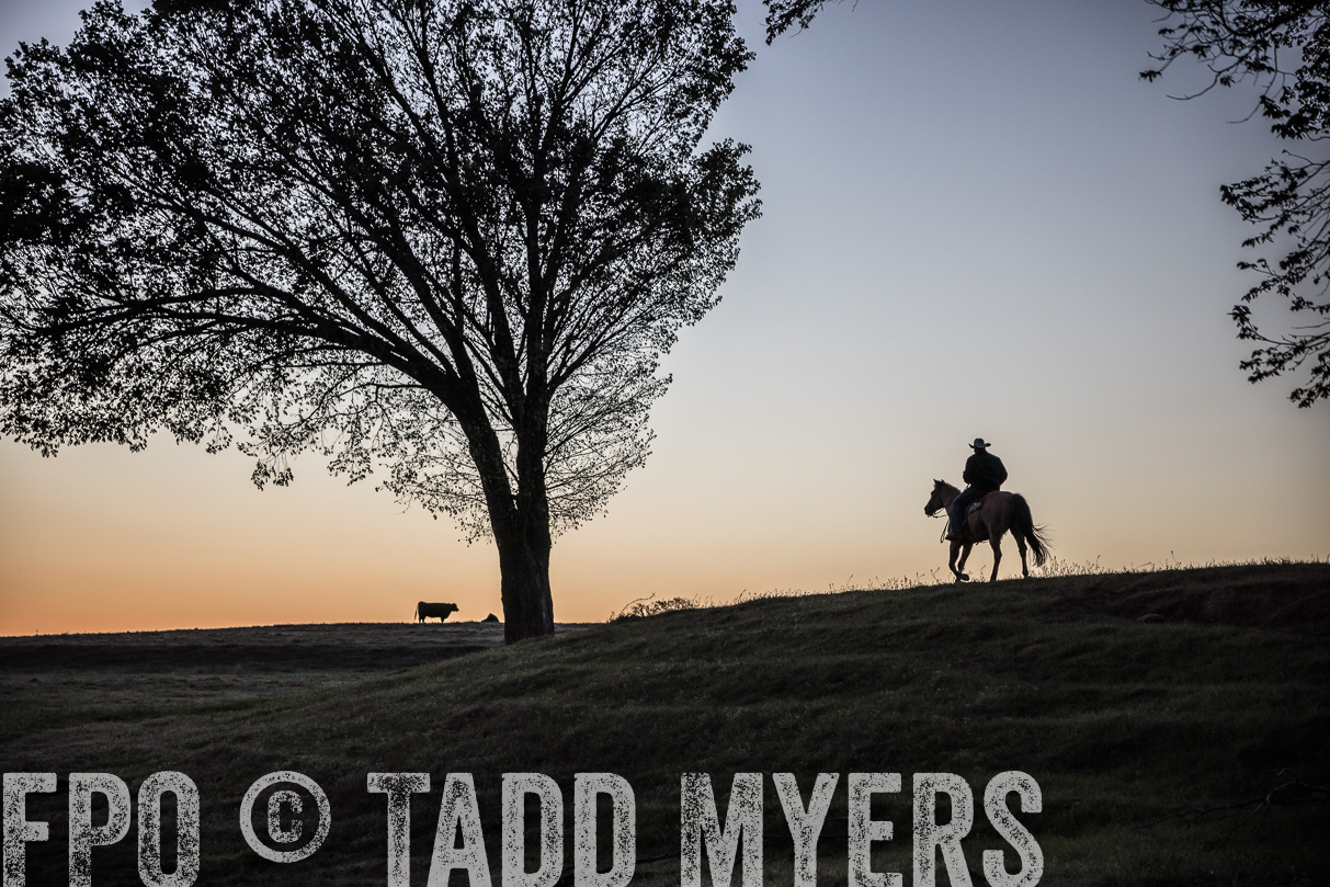 TMyers_44Farms_Cameron_March2021-4489