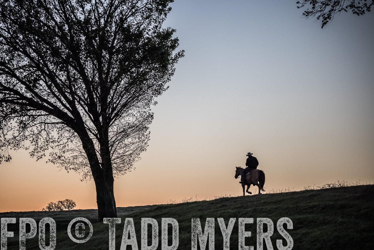 TMyers_44Farms_Cameron_March2021-4669