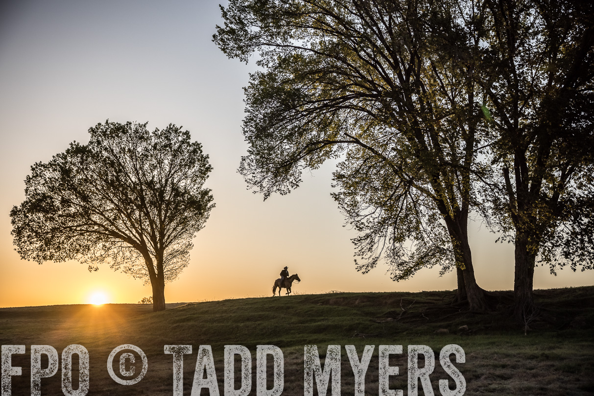 TMyers_44Farms_Cameron_March2021-4892