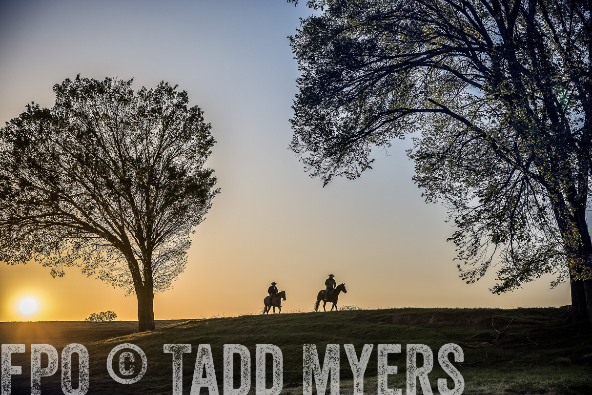 TMyers_44Farms_Cameron_March2021-5017-Edit