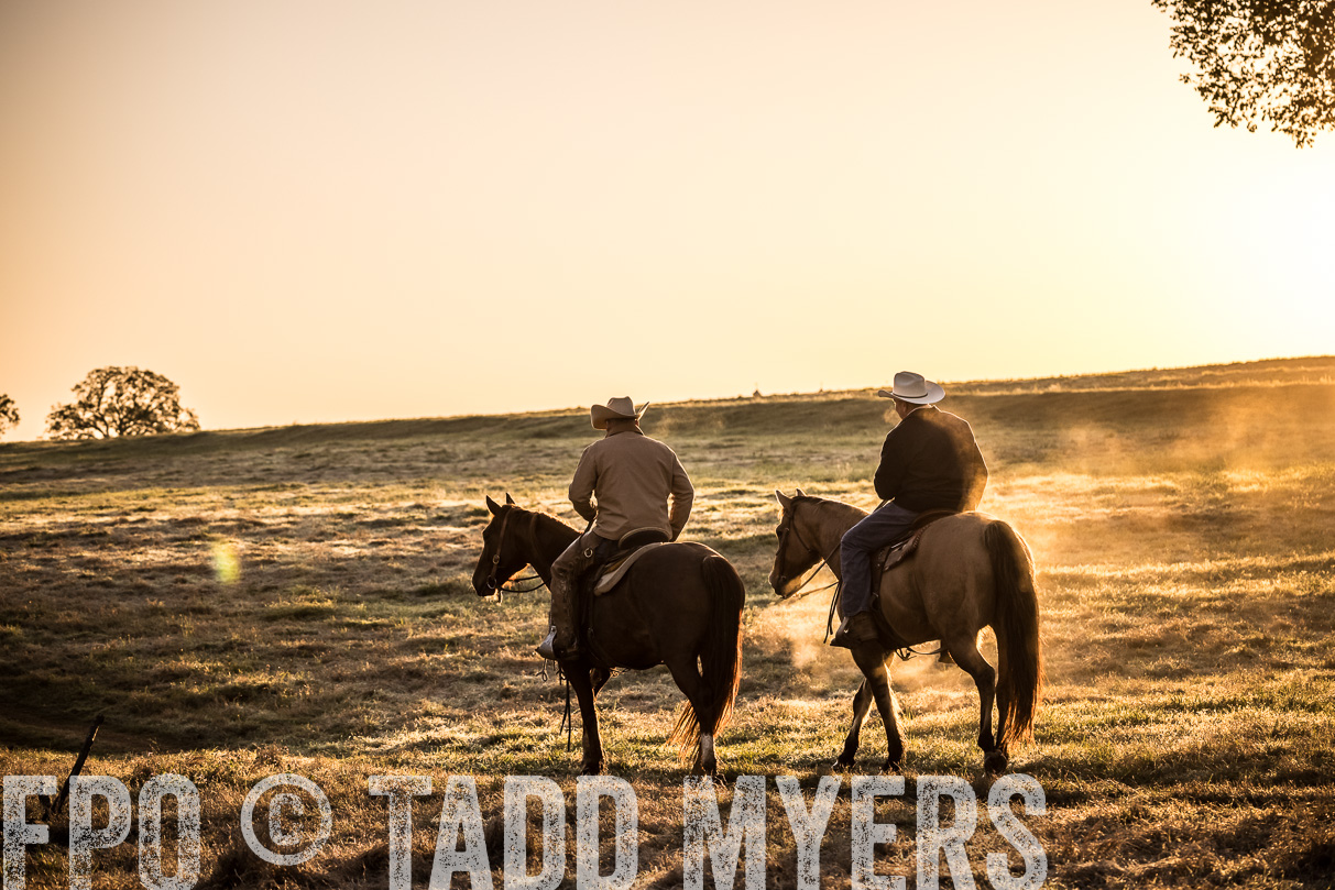 TMyers_44Farms_Cameron_March2021-5165