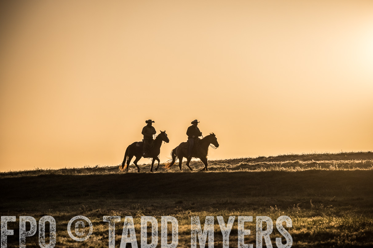 TMyers_44Farms_Cameron_March2021-5188-1