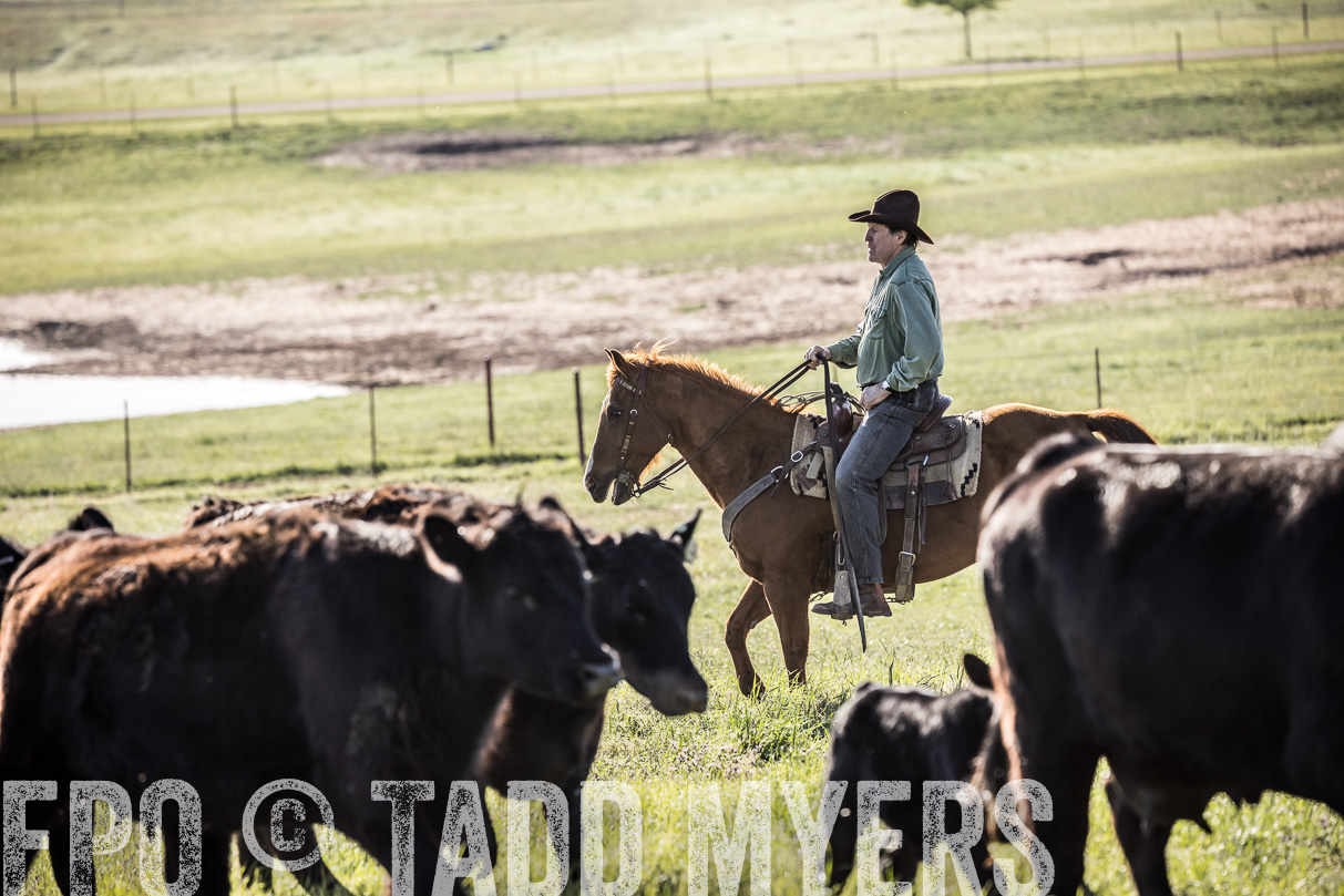 TMyers_44Farms_Cameron_March2021-5805