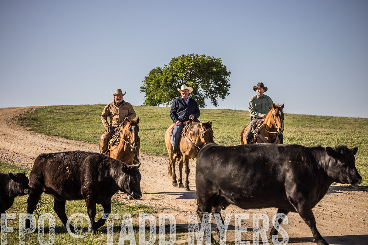 TMyers_44Farms_Cameron_March2021-5912