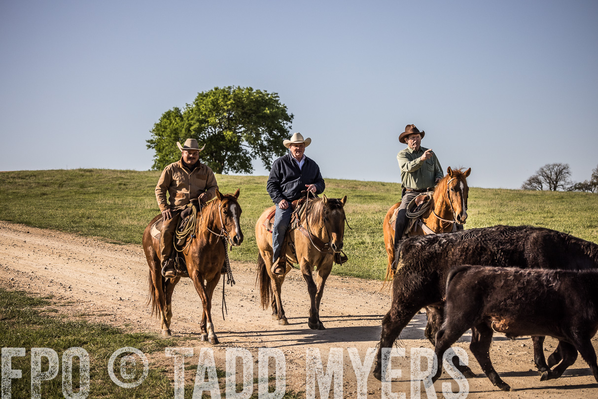 TMyers_44Farms_Cameron_March2021-5916