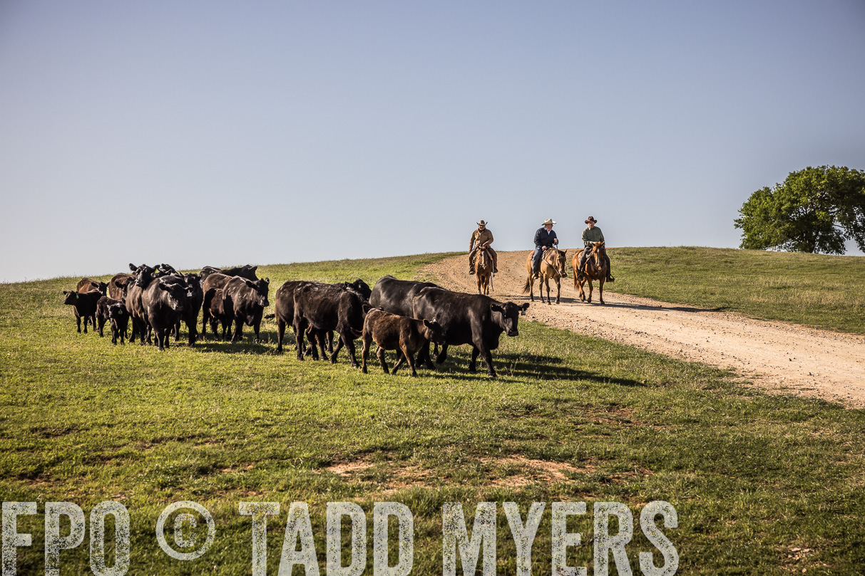 TMyers_44Farms_Cameron_March2021-5937