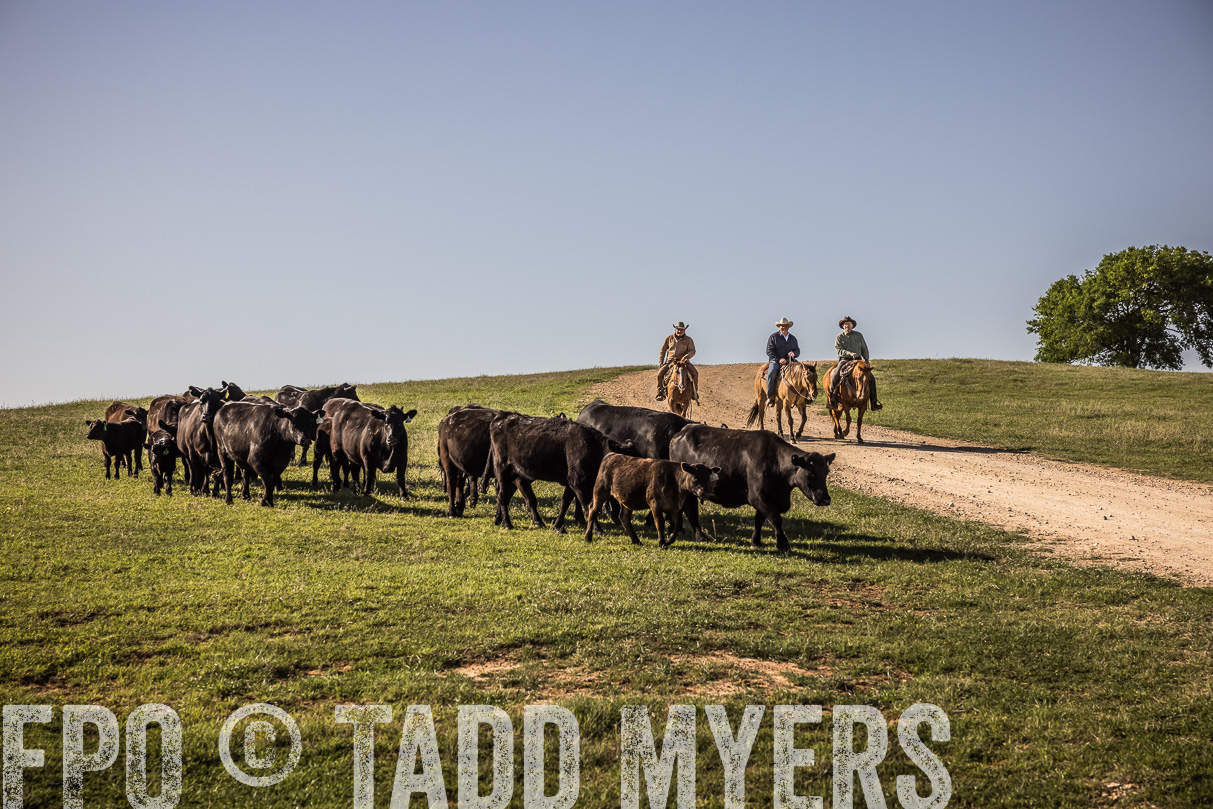 TMyers_44Farms_Cameron_March2021-5939