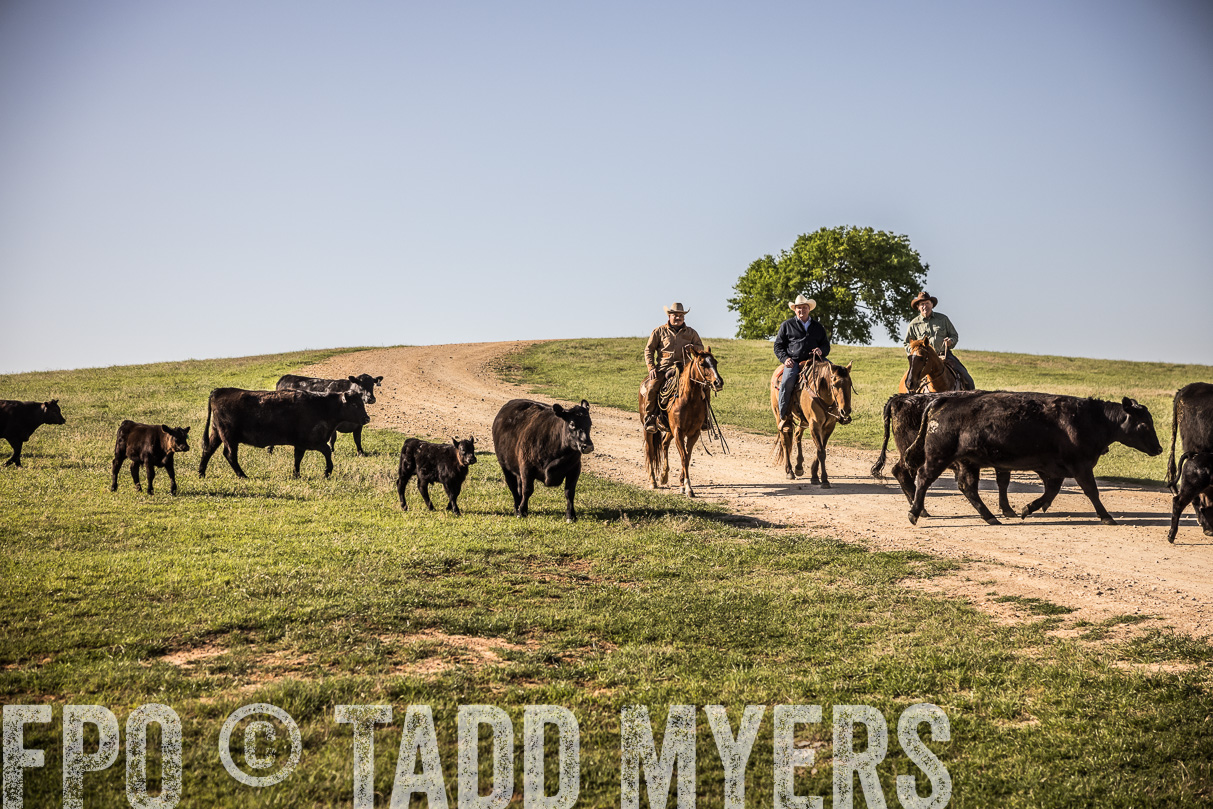 TMyers_44Farms_Cameron_March2021-5955
