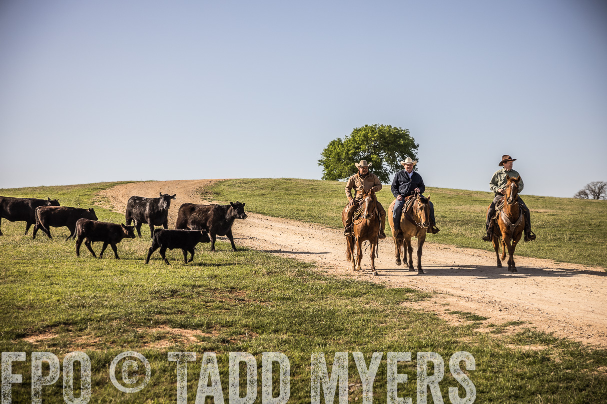 TMyers_44Farms_Cameron_March2021-5963