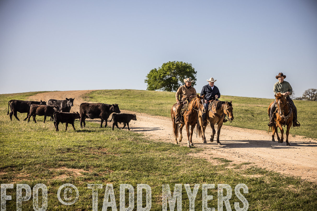 TMyers_44Farms_Cameron_March2021-5966