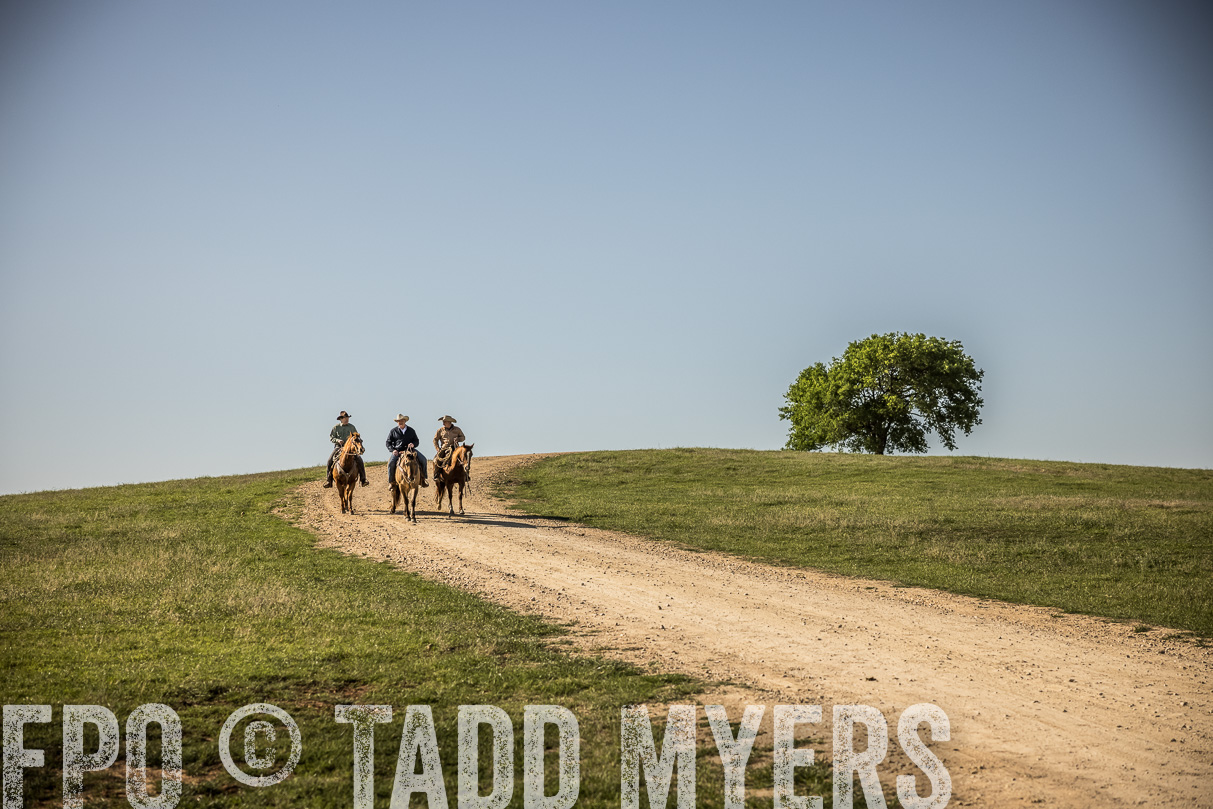 TMyers_44Farms_Cameron_March2021-6023