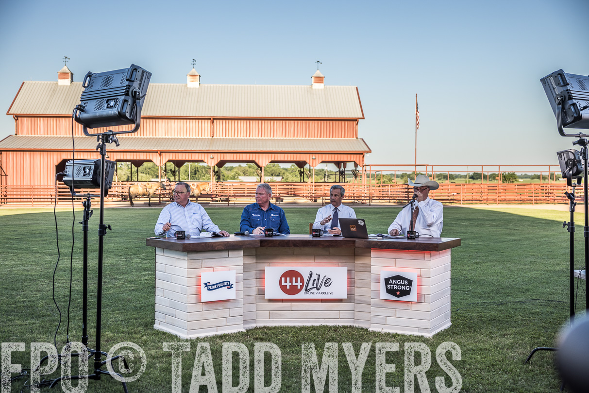 44Farms_CameronTX_OnlineSale_May2021-510037