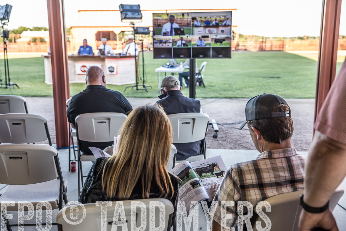 44Farms_CameronTX_OnlineSale_May2021-510097