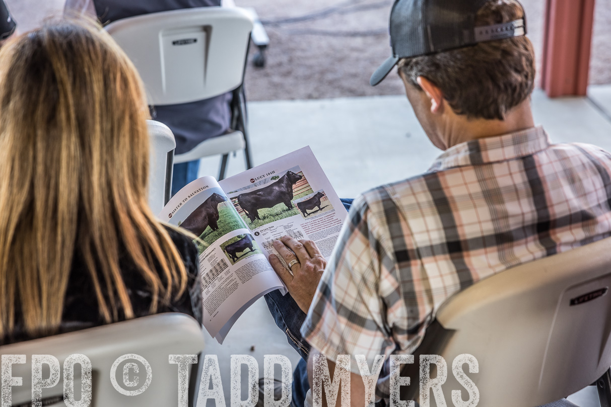 44Farms_CameronTX_OnlineSale_May2021-510096