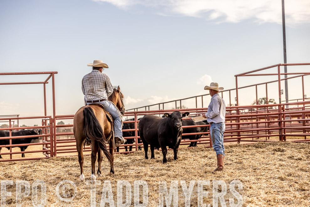 TMyers_SaleBookCover_CameronTX_Sept2021-520009