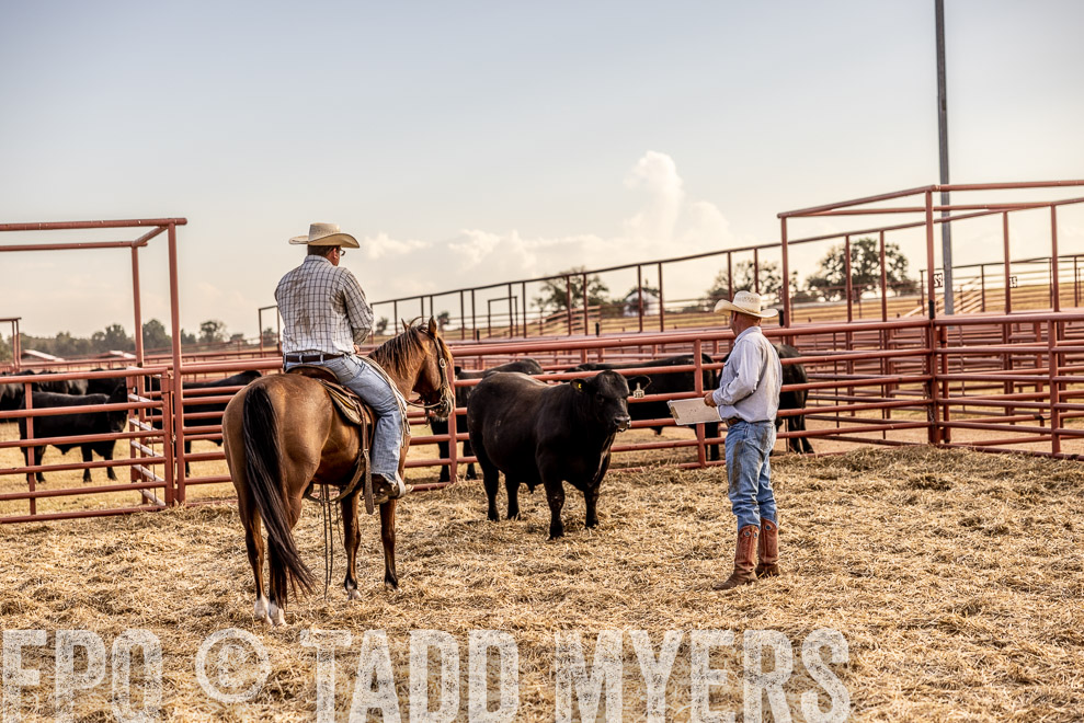 TMyers_SaleBookCover_CameronTX_Sept2021-520042
