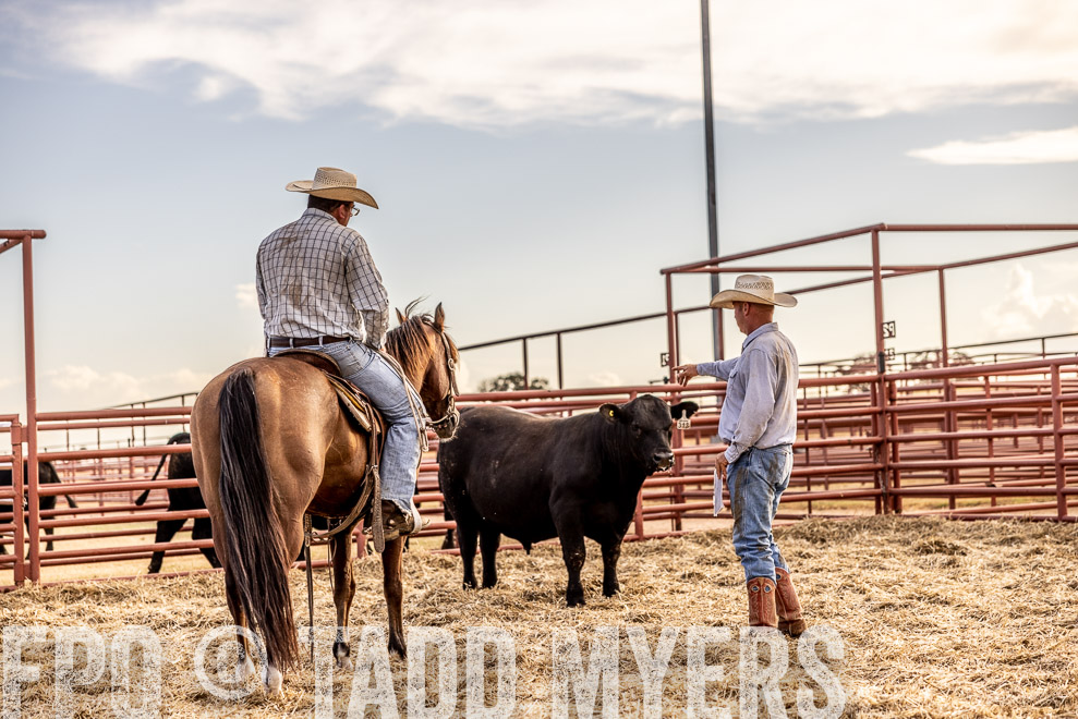 TMyers_SaleBookCover_CameronTX_Sept2021-520136