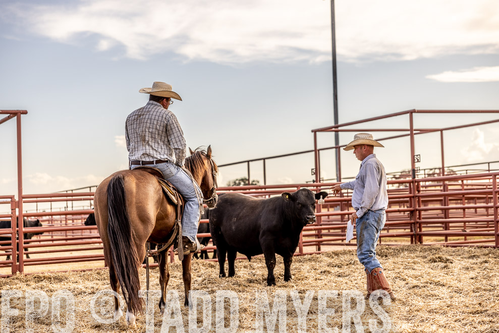 TMyers_SaleBookCover_CameronTX_Sept2021-520137