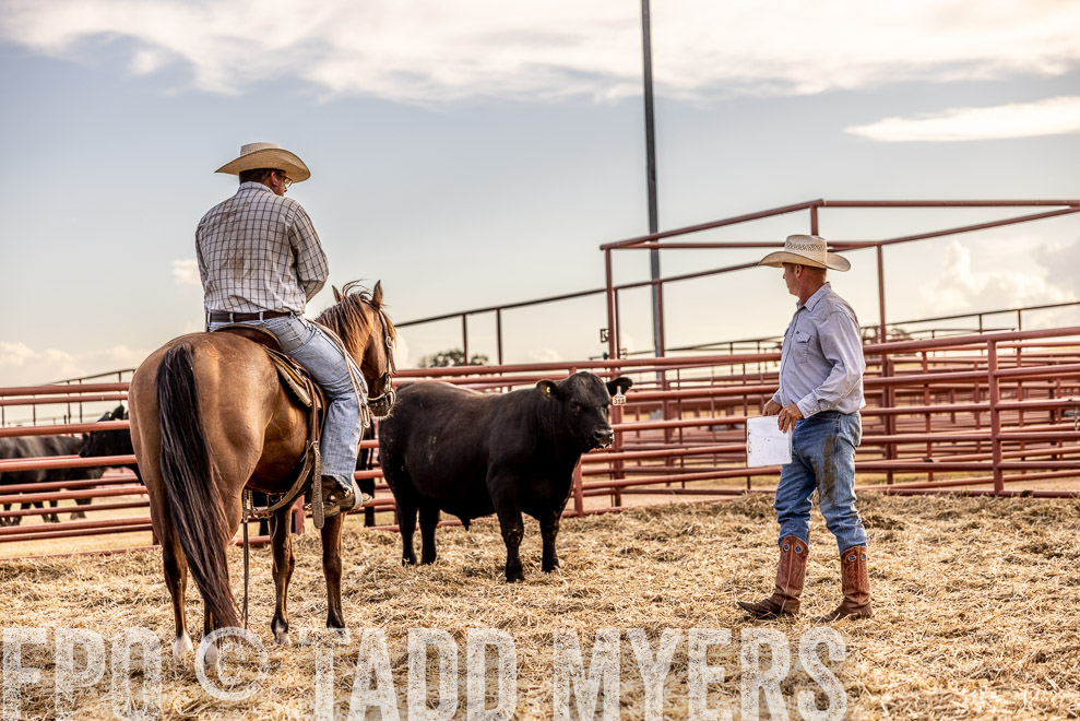 TMyers_SaleBookCover_CameronTX_Sept2021-520142