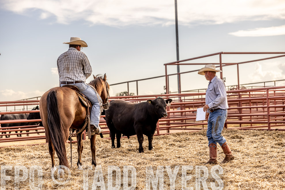 TMyers_SaleBookCover_CameronTX_Sept2021-520143