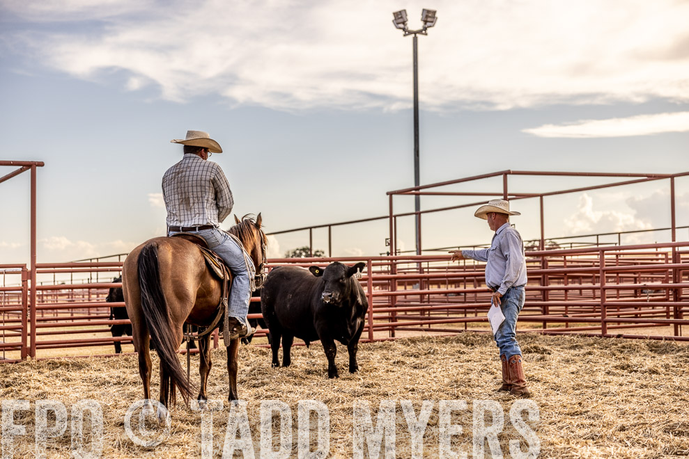 TMyers_SaleBookCover_CameronTX_Sept2021-520160
