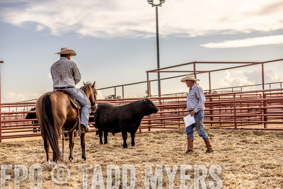 TMyers_SaleBookCover_CameronTX_Sept2021-520174