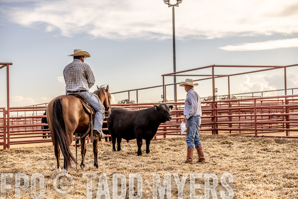 TMyers_SaleBookCover_CameronTX_Sept2021-520176