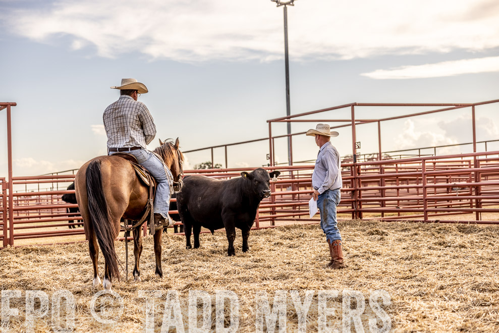 TMyers_SaleBookCover_CameronTX_Sept2021-520178