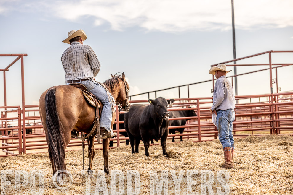 TMyers_SaleBookCover_CameronTX_Sept2021-520195