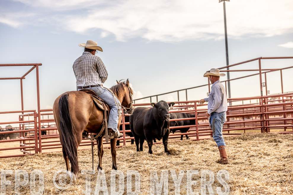 TMyers_SaleBookCover_CameronTX_Sept2021-520197