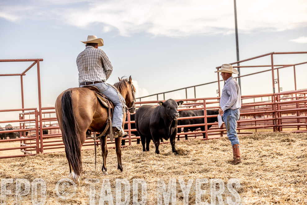 TMyers_SaleBookCover_CameronTX_Sept2021-520203