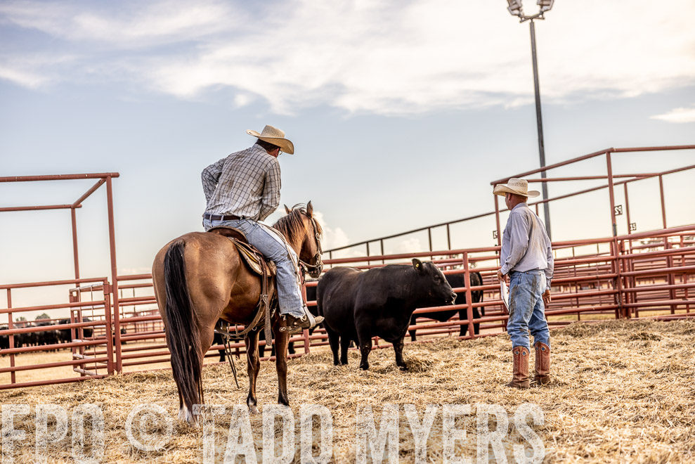 TMyers_SaleBookCover_CameronTX_Sept2021-520209