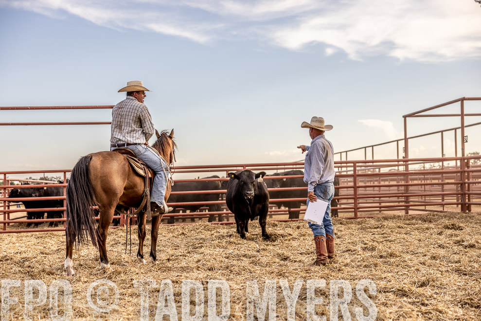 TMyers_SaleBookCover_CameronTX_Sept2021-520231