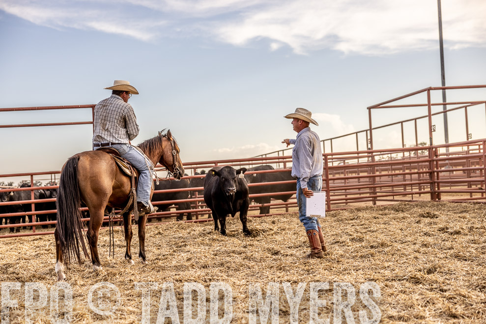 TMyers_SaleBookCover_CameronTX_Sept2021-520233