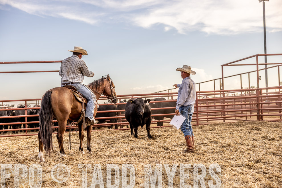 TMyers_SaleBookCover_CameronTX_Sept2021-520234