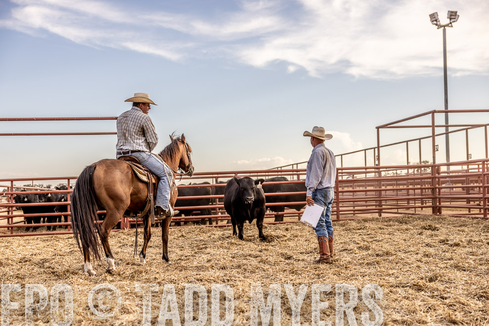 TMyers_SaleBookCover_CameronTX_Sept2021-520237